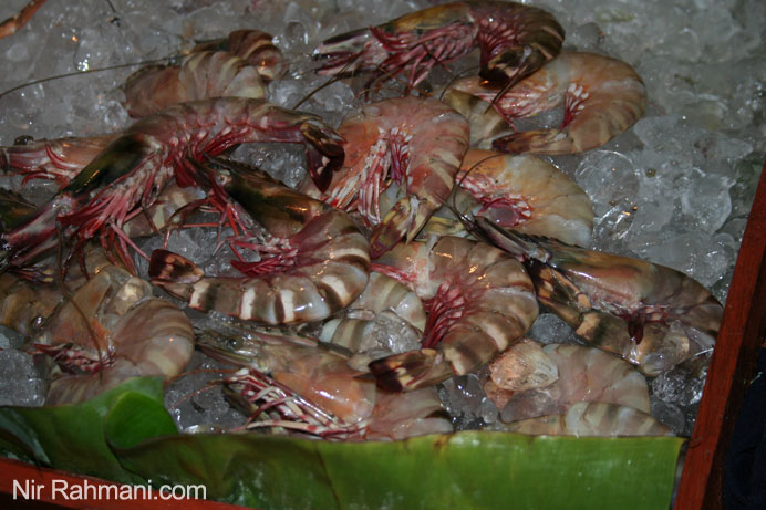 sea food, Ark Bar, Koh Samui