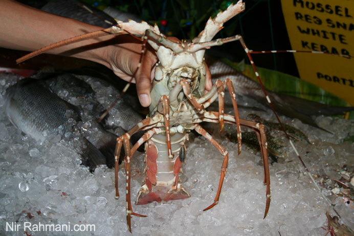 sea food, Ark Bar, Koh Samui