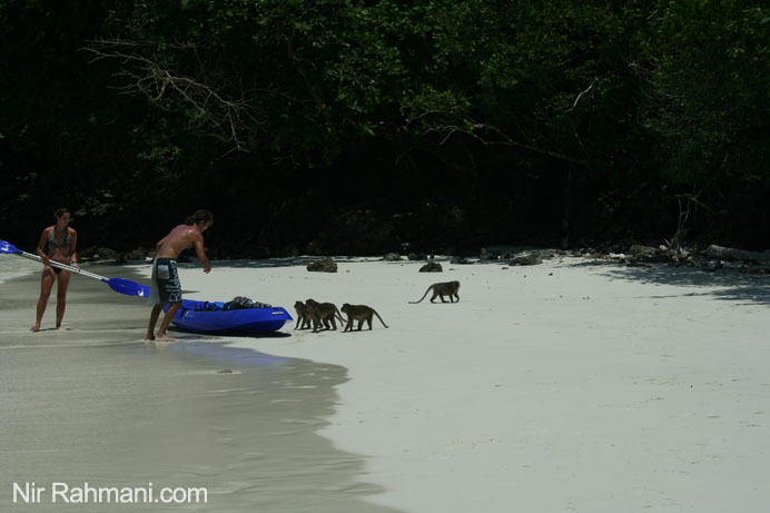 Monkey Beach, Koh PhiPhi