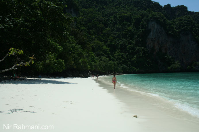 Monkey Beach, Koh PhiPhi